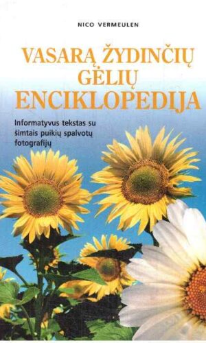 Vasarą žydinčių gėlių enciklopedija - Nico Vermeulen