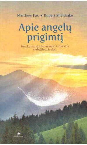 Apie angelų prigimtį - Matthew Fox, Rupert Sheldrake