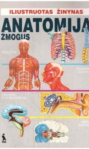 Anatomija Žmogus. Iliustruotas žinynas - Vincente Muedra Baixauli, Marcello Negri