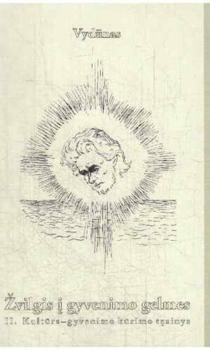 Žvilgsnis į gyvenimo gelmes (2 tomas) - Vydūnas