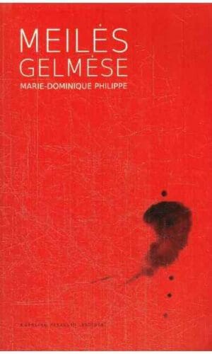 Meilės gelmėse: pokalbis apie meilę, santuoką ir šeimą Marie - Dominique Philippe