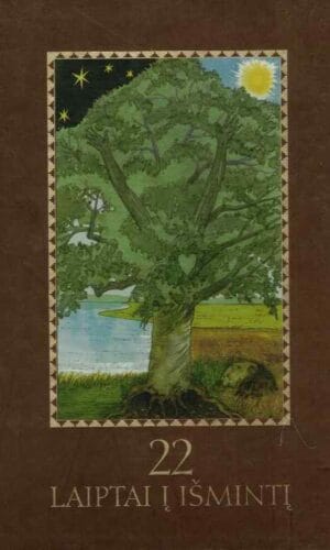 22 laiptai į išmintį - Rimas Šabrinskas