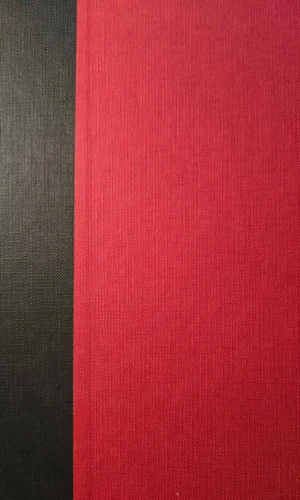 Paslėpta prieš akis - Erich Joachmsthaler