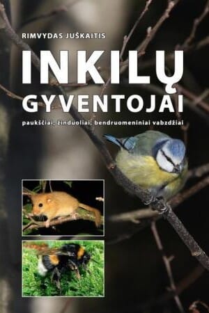Inkilų gyventojai. Paukščiai, žinduoliai, bendruomeniniai vabzdžiai - Rimvydas Juškaitis