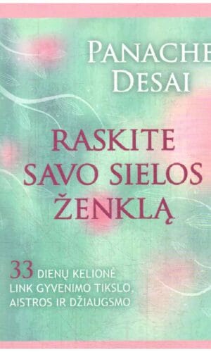 Raskite savo sielos ženklą: 33 dienų kelionė link gyvenimo tikslo, aistros ir džiaugsmo - Panache Desai