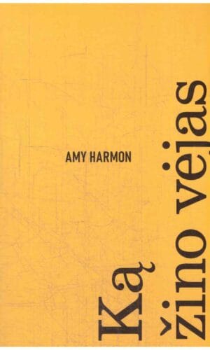 Ką žino vėjas - Amy Harmon