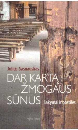 Dar kartą – žmogaus sūnus: sakymai ir postilės - Julius Sasnauskas