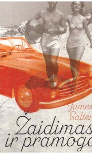 Žaidimas ir pramoga - James Salter