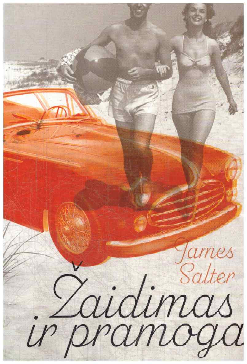 Žaidimas ir pramoga - James Salter