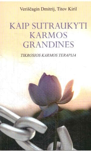 Kaip sutraukyti karmos grandines. Tikrosios karmos terapija - Dmitrij Veriščagin, Titov Kiril