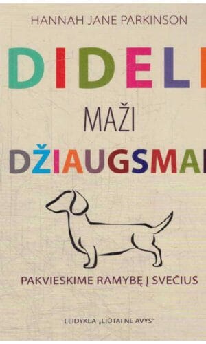 Dideli maži džiaugsmai. Pakvieskime ramybę į namus - Hannah Jane Parkinson