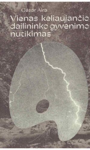 Vienas keliaujančio dailininko gyvenimo nutikimas - César Aira
