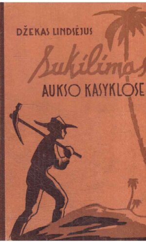Sukilimas aukso kasyklose - Džekas Lindsėjus (Nuotykių biblioteka)