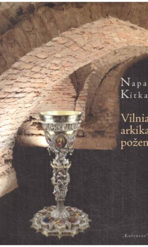 Vilniaus arkikatedros požemiai - Napalys Kitkauskas