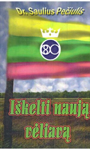 Iškelti naują vėliavą (Įvadas į konstruktyvistinę filosofiją) - Saulius Pečiulis