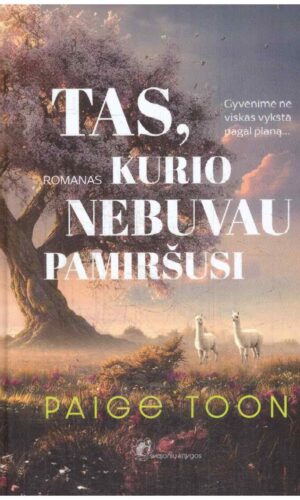 Tas, kurio nebuvau pamiršusi - Paige Toon