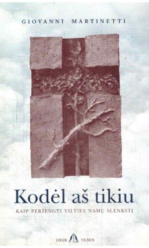 Kodėl aš tikiu. Kaip peržengti vilties namų slenkstį - Giovanni Martinetti