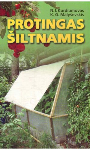Protingas šiltnamis - Nikolajus I. Kurdiumovas, K. G. Malyševskis