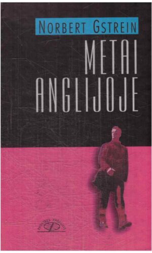 Metai Anglijoje - Norbert Gstrein